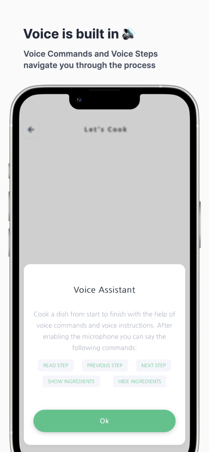 Built-in voice assistant with spoken commands